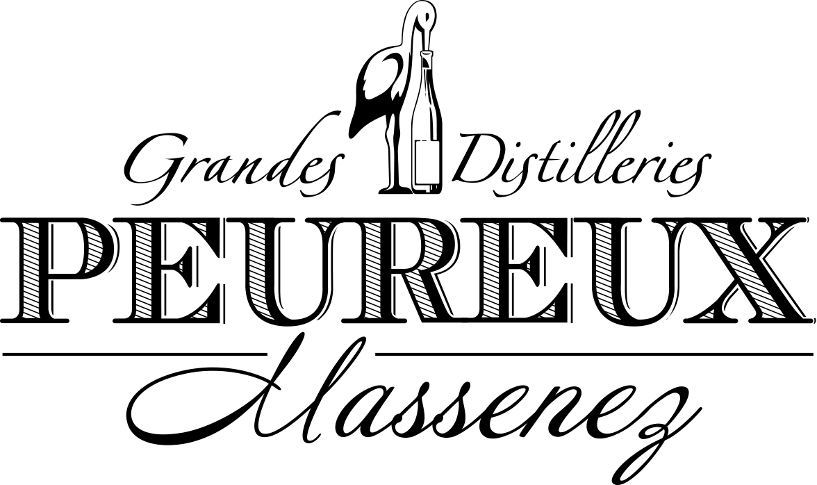 Logo du projet Redesign of the professional website
